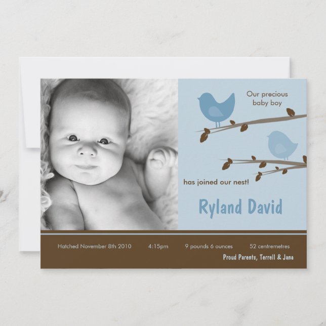 5x7 Baby Boy Blue Birdsl Photo Birth Announcement (Front)