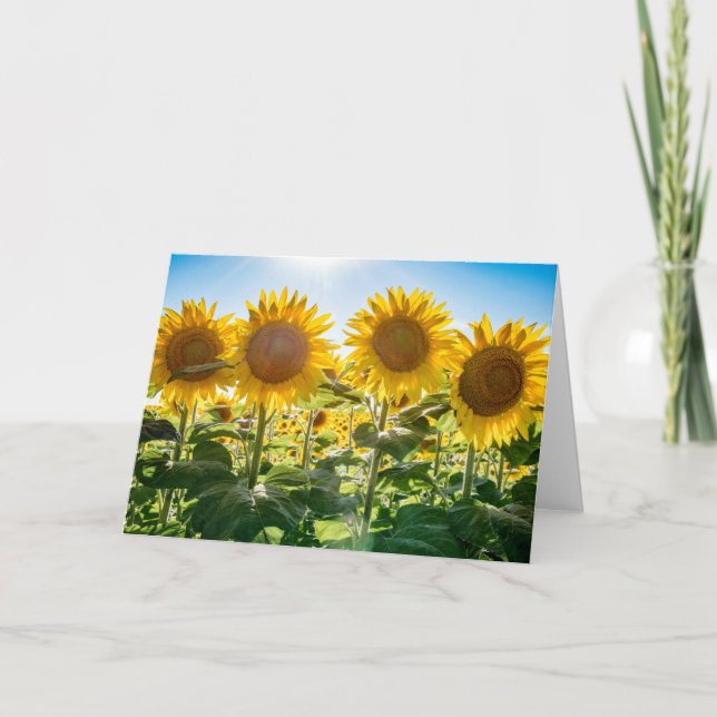 5x7 Blank Greeting Card (Front)
