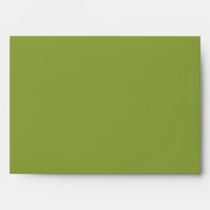 5x7 Envelope Green Outside Black Damask Inside