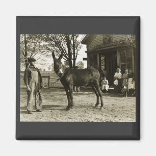 5x7 GLASS NEGATIVE Milwaukee Mule Magnet