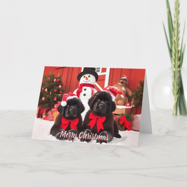 5x7 Newfoundland Dog Christmas Card (Front)