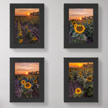 5x7 Print (Set of 4)
