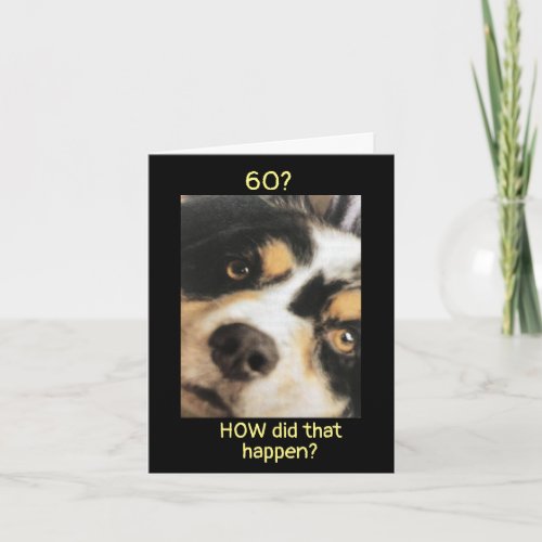 60 HOW DID THAT HAPPEN CARD