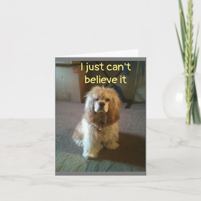 ***60*** I DON'T BELIEVE IT  CARD (Front)