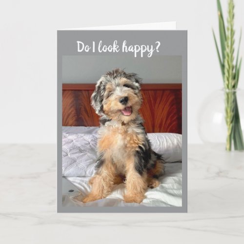 **60** LOOKS GREAT ON YOU! HAPPY BIRTHDAY CARD