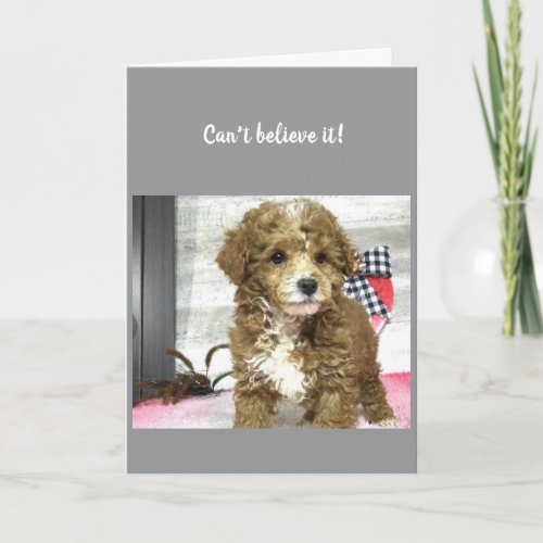 **60** LOOKS GREAT ON YOU! HAPPY BIRTHDAY CARD