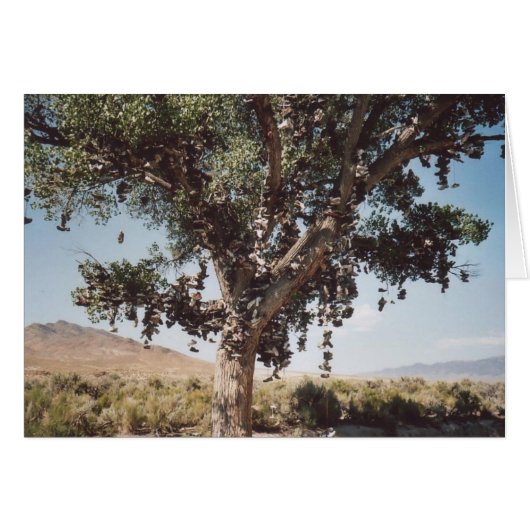 60. Shoe Tree, Nevada Cards (Front Horizontal)