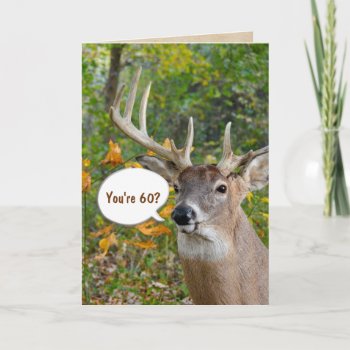 60th Birthday Buck In Woods Card by dryfhout at Zazzle