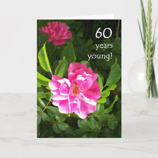 60th Birthday Card - Pink Roses (Front)