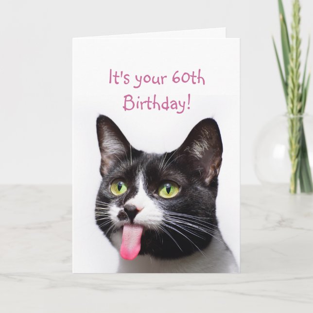  60th Birthday Cat Sticking out Tongue Funny Humor Card (Front)
