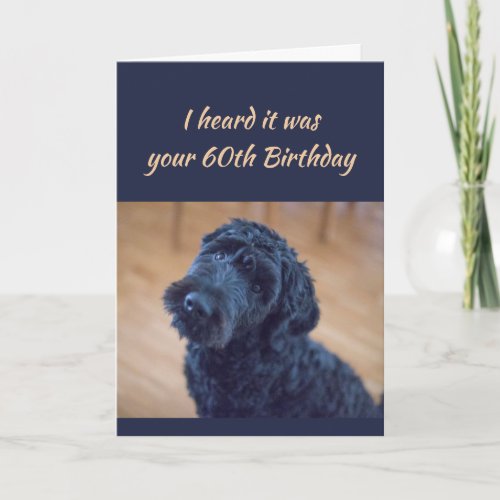 60th Birthday Fun Cute Black Curly Dog Pet Card