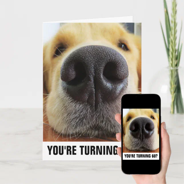 60TH BIRTHDAY FUNNY DOG GREETING CARDS Zazzle