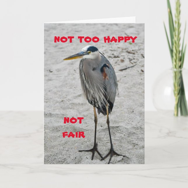 **60th BIRTHDAY WISHES FROM A CRANE** Card (Front)