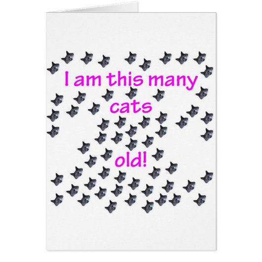 61 Cat Heads Old Cards (Front)