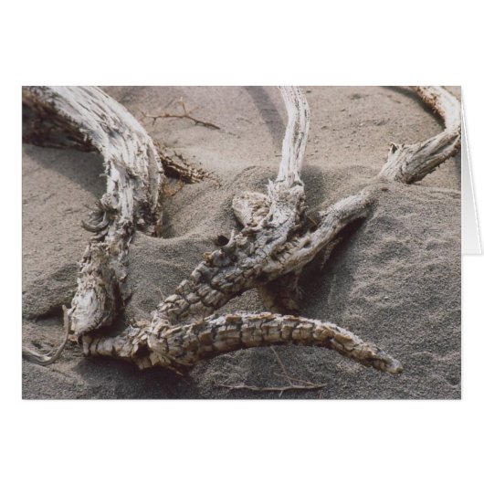 61. Wooden Antler Rack (Front Horizontal)