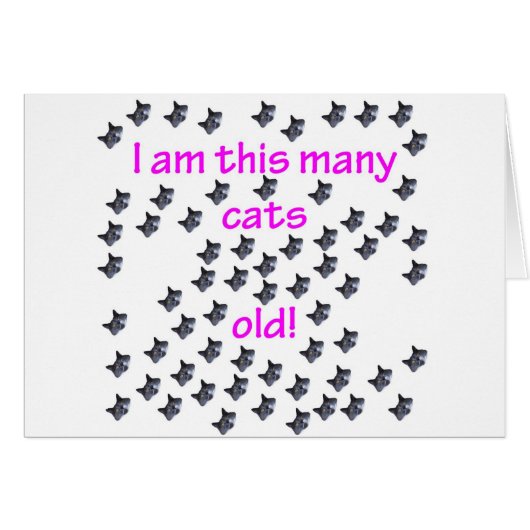 64 Cat Heads Old Cards (Front Horizontal)