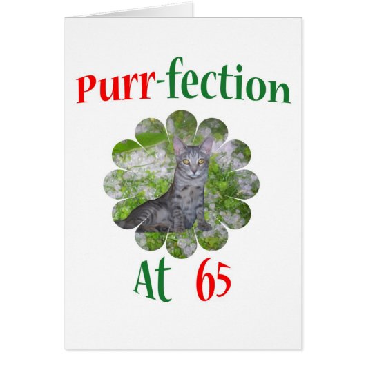 65 Purr-fection Cards (Front)