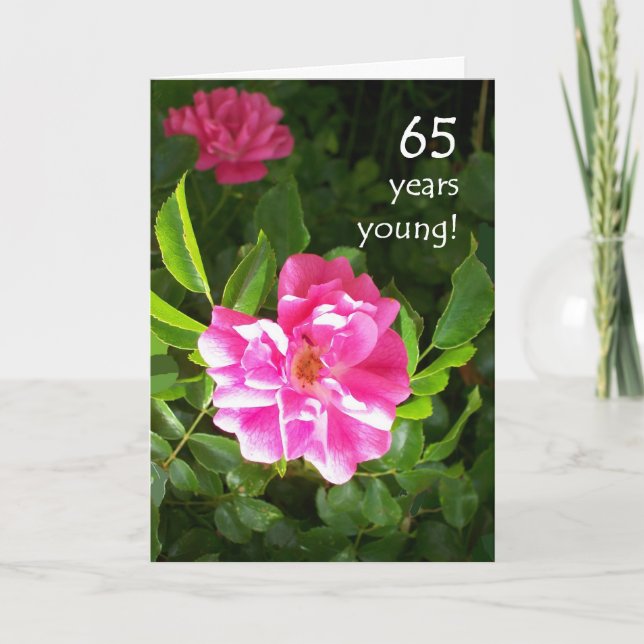 65th Birthday Card - Pink Roses (Front)
