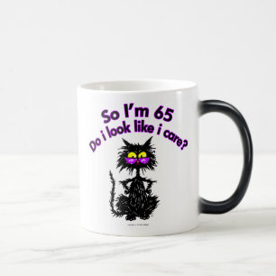 65th Birthday Cat Gifts Color Morph Mug