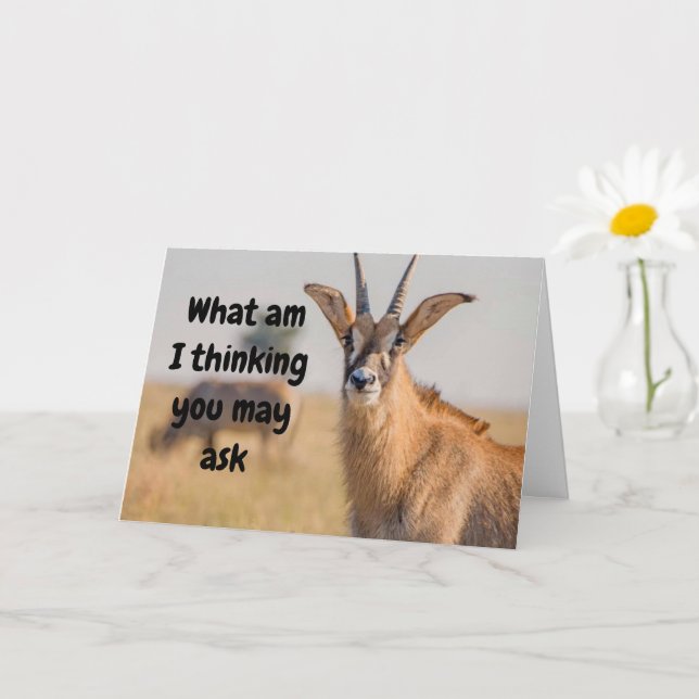 "65th BIRTHDAY HUMOR VIA ANTELOPE Card (Small Plant)