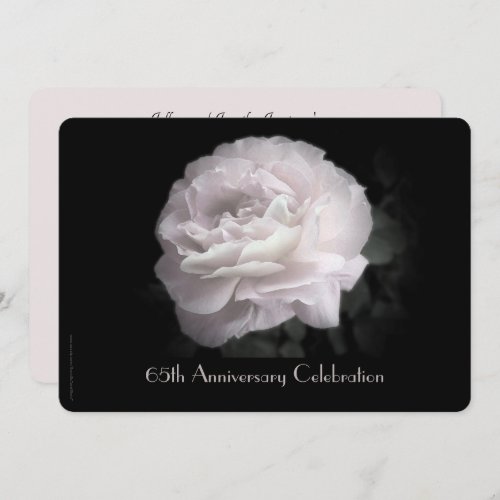 65th Wedding Anniversary Party Pale Pink Rose Invitation