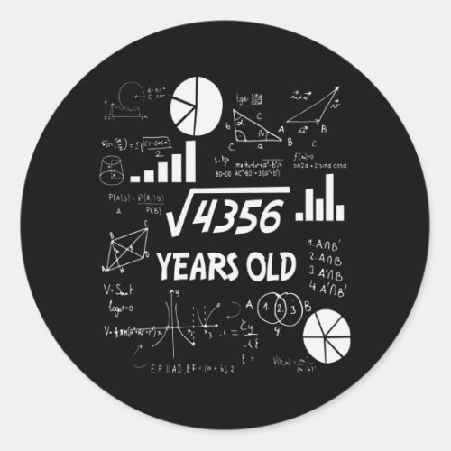 66 Years Old Bday Math Teacher 66th Birthday Gift Classic Round Sticker