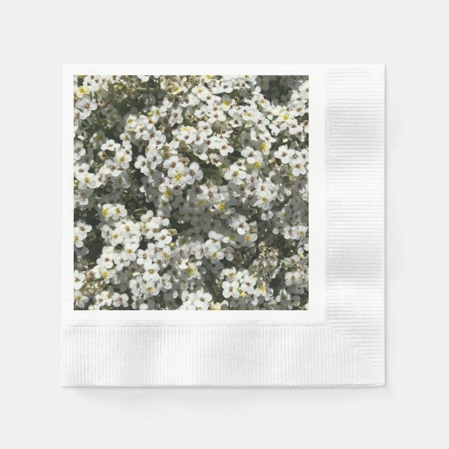 66th Anniversary  Napkins (Front)