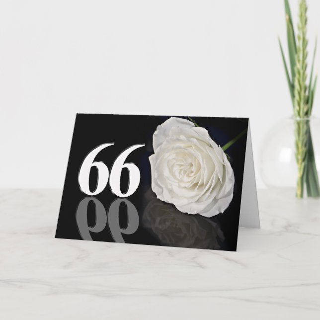66thBirthday Card with a classic white rose (Front)