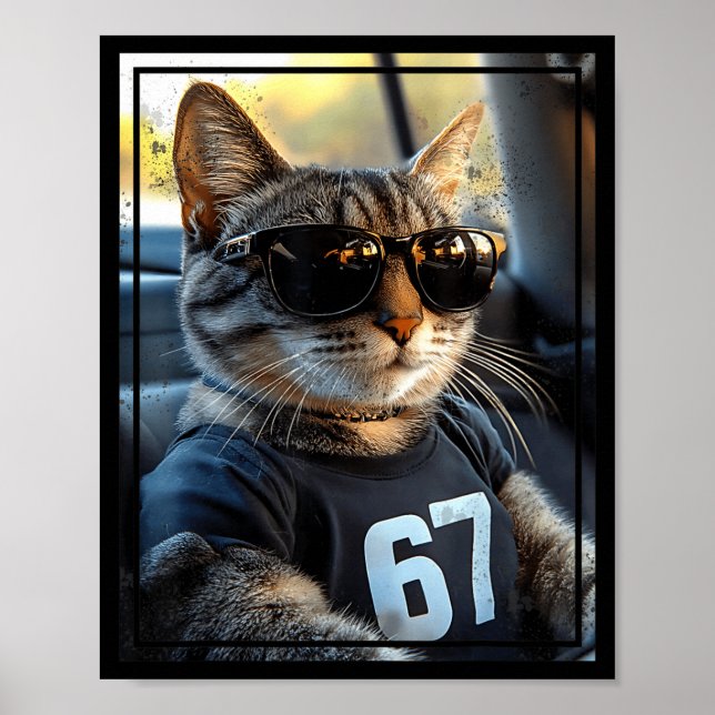67 And Still Cool Funny Birthday Meme Cat  Poster (Front)