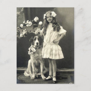 67 Animals Postcard
