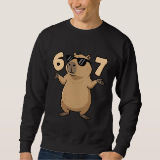 67 Capybara Meme 6 7 Aesthetic for Kids Young Adul Sweatshirt