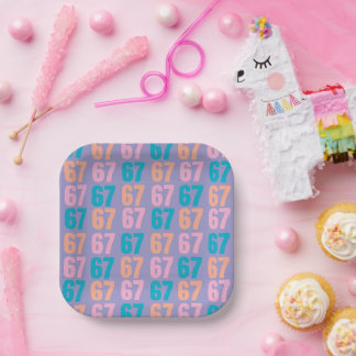 67 Disposable Plates