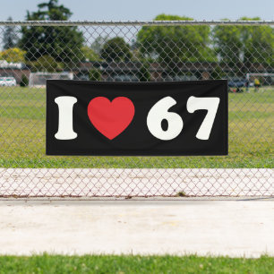67 Funny Meme I Love Six Seven 67th Birthday Banner