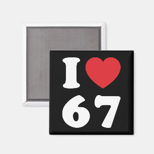 67 Funny Meme I Love Six Seven 67th Birthday Magnet
