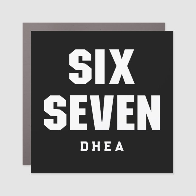 67 Funny Meme Six Seven Gen Alpha Car Magnet (Front)