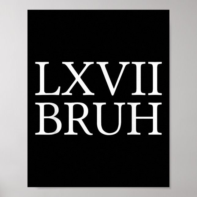 67 History Meme Six Seven Bruh Funny History Teach Poster (Front)