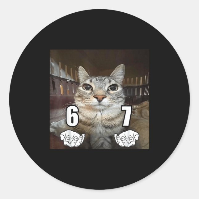 67 Meme Funny Cat Six Seven Meme 6 7  Classic Round Sticker (Front)