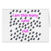 69 Cat Heads Old (Front Horizontal)