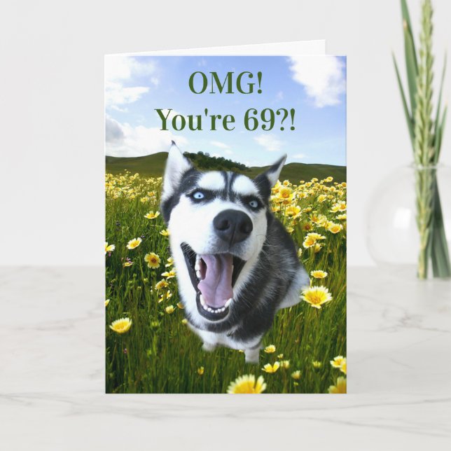 69th Birthday Super Cute Husky You Look Great Card (Front)