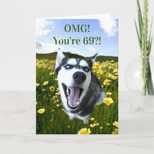 69th Birthday Super Cute Husky You Look Great Card