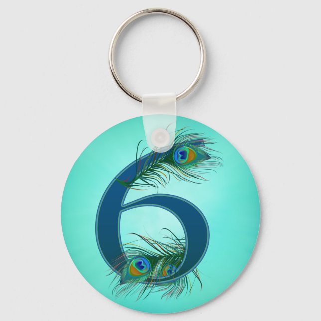 6 / 6th / 6th Anniversary / number 6 Keychain (Front)