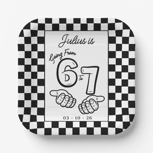 6 7 Meme Black White Checkerboard Birthday Paper Plates (Front)