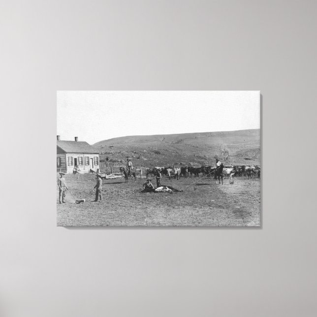 6 Cowboys Branding Cattle Near House Photograph Canvas Print (Front)