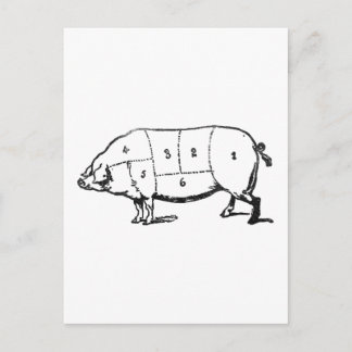 6 Degrees of  Bacon Postcard