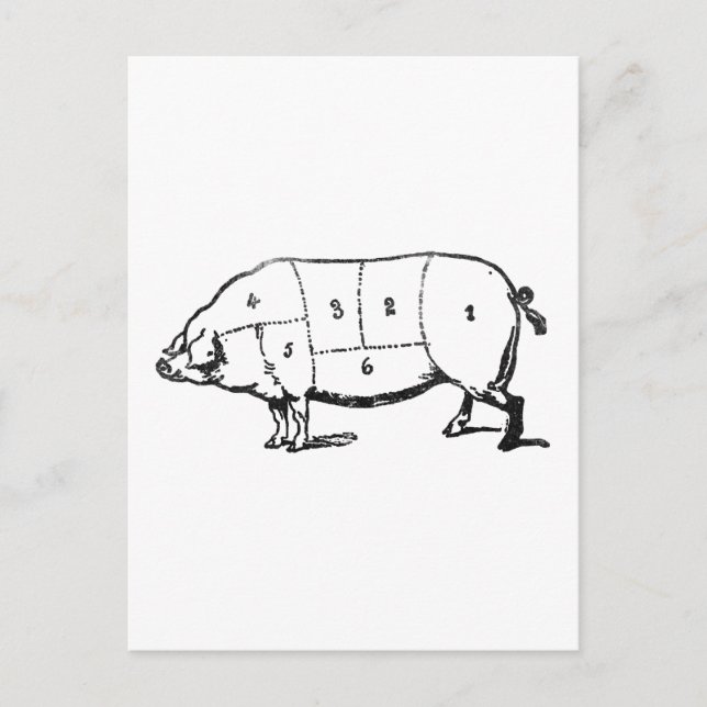 6 Degrees of  Bacon Postcard (Front)