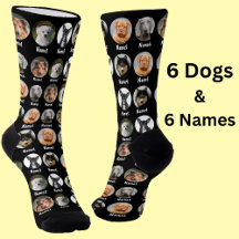 6 Dogs, 6 Names, Dog Photo - Personalized Black