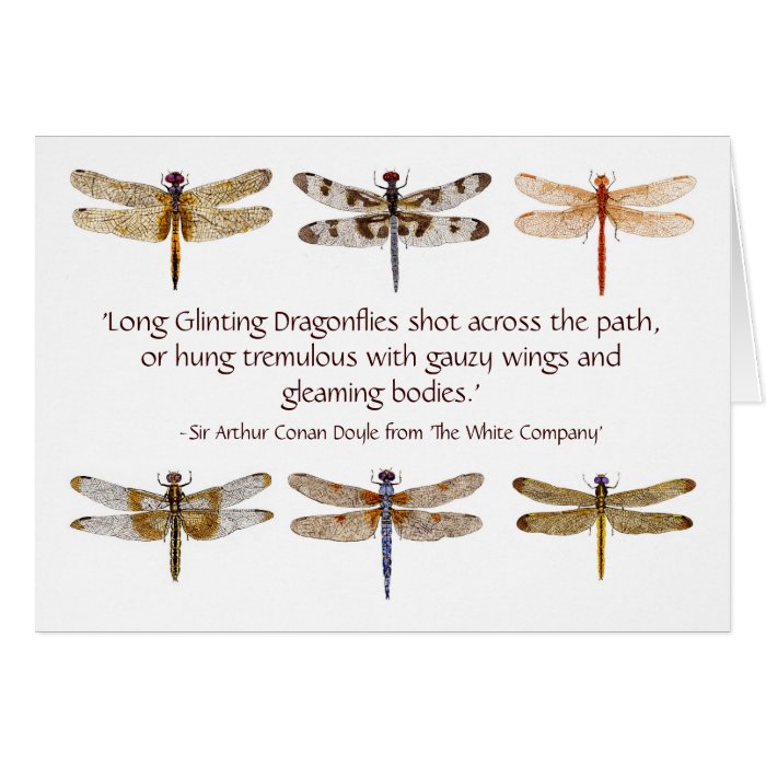 6 dragonfly watercolors & quote greeting cards