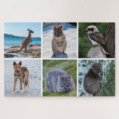 6_in_1 Animals of Australia 1014 pieces Jigsaw Puzzle