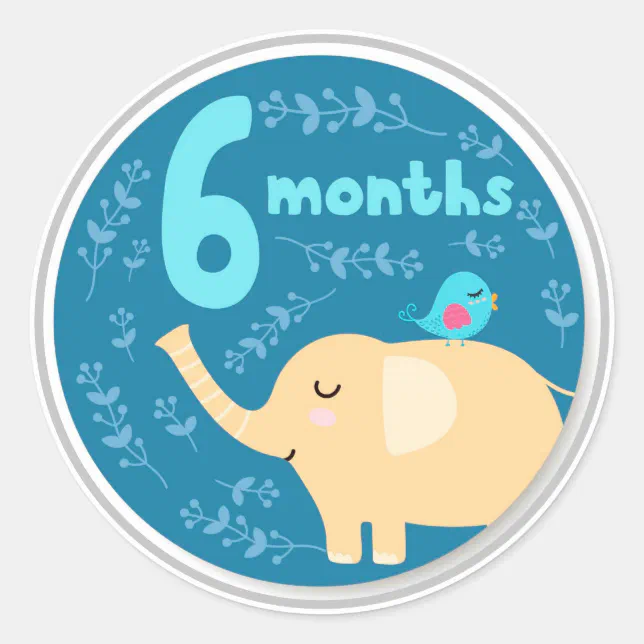 6 Month Baby Milestone Classic Round Sticker Zazzle