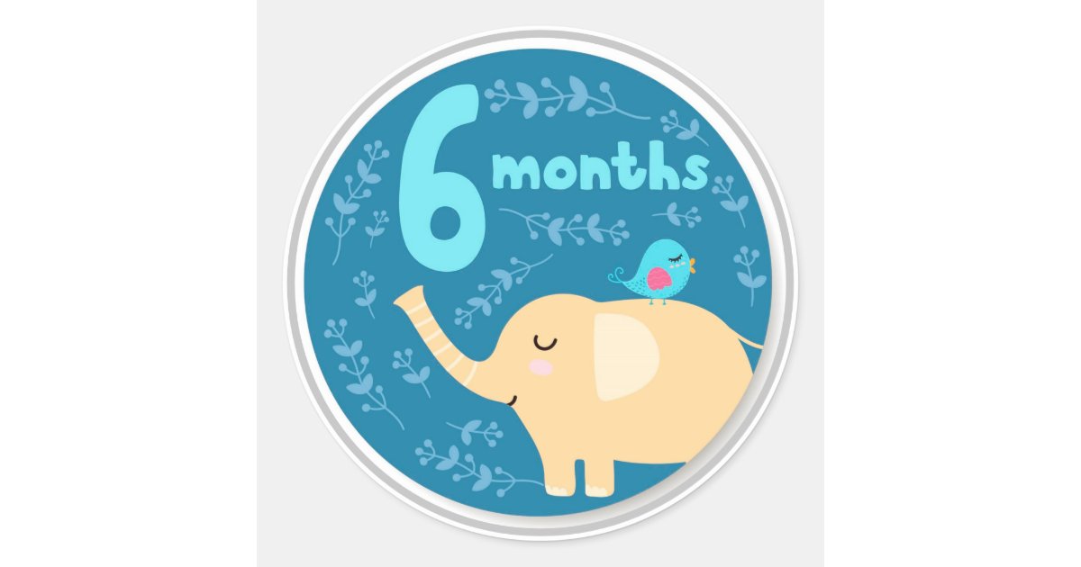 6 Month Baby Milestone Classic Round Sticker | Zazzle